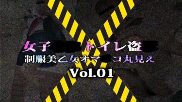 【GW期間 限定公開】女子〇〇トイレ盗〇 制服美乙女オマ〇コ丸見え Vol.01